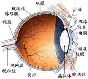 引起鞏膜炎的原因