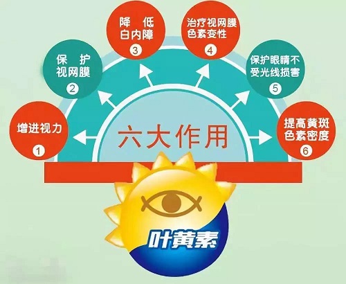 葉黃素可以保護(hù)視力嗎？