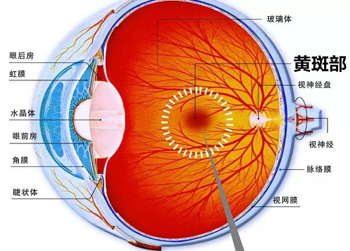 什么是眼球震顫？