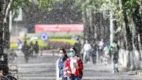 柳絮亂飛的季節(jié)眼睛過敏怎么辦？